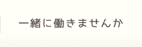 一緒に働きませんか